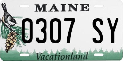 ME license plate 0307SY