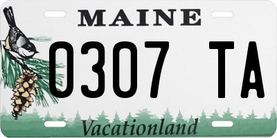 ME license plate 0307TA