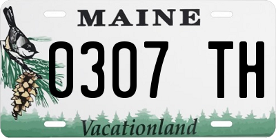 ME license plate 0307TH