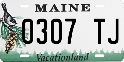 ME license plate 0307TJ