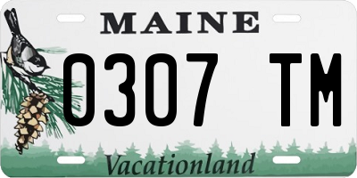 ME license plate 0307TM