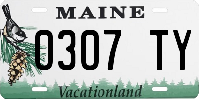 ME license plate 0307TY
