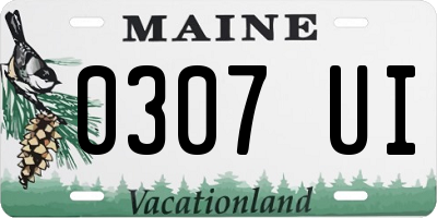ME license plate 0307UI