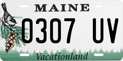 ME license plate 0307UV