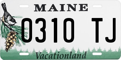ME license plate 0310TJ