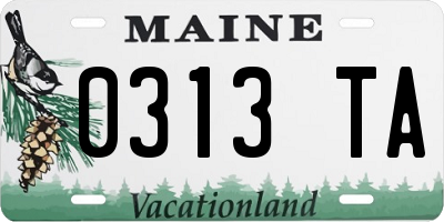 ME license plate 0313TA