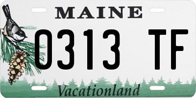 ME license plate 0313TF