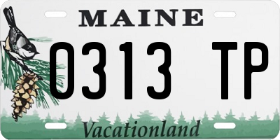 ME license plate 0313TP