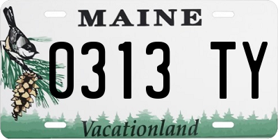 ME license plate 0313TY