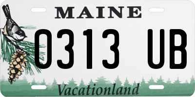 ME license plate 0313UB