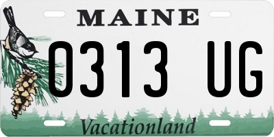 ME license plate 0313UG