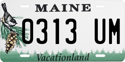 ME license plate 0313UM