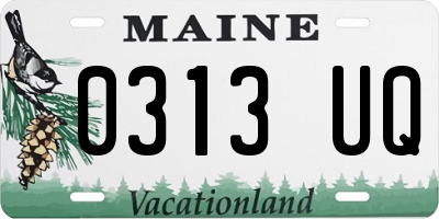 ME license plate 0313UQ