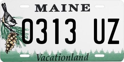 ME license plate 0313UZ