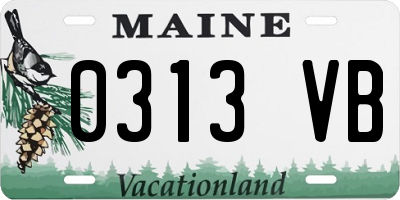 ME license plate 0313VB