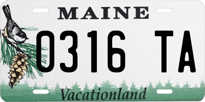 ME license plate 0316TA
