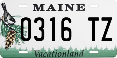 ME license plate 0316TZ
