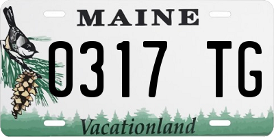 ME license plate 0317TG