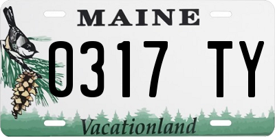 ME license plate 0317TY