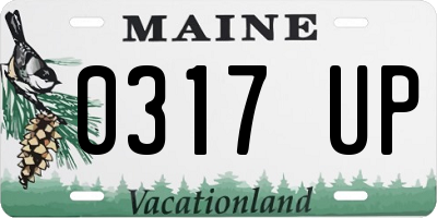 ME license plate 0317UP