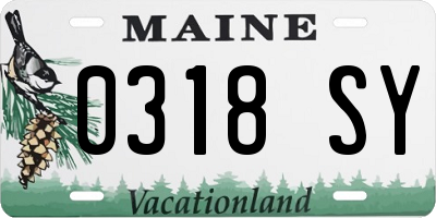 ME license plate 0318SY