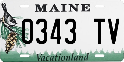 ME license plate 0343TV