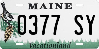 ME license plate 0377SY