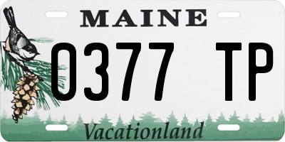 ME license plate 0377TP