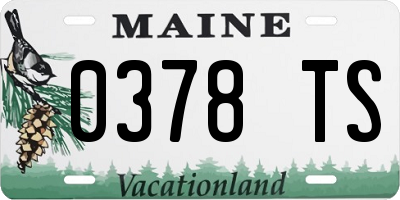 ME license plate 0378TS