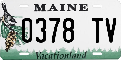 ME license plate 0378TV