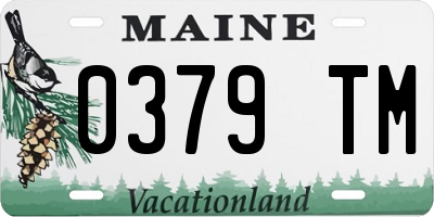 ME license plate 0379TM