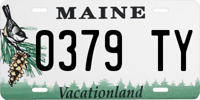 ME license plate 0379TY