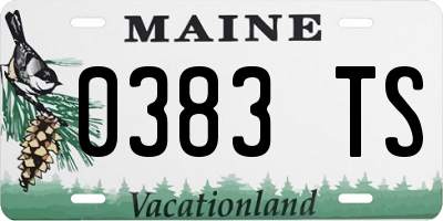 ME license plate 0383TS