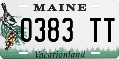 ME license plate 0383TT