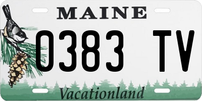 ME license plate 0383TV