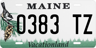 ME license plate 0383TZ