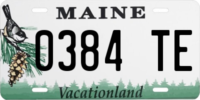 ME license plate 0384TE