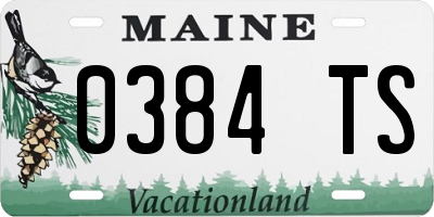 ME license plate 0384TS