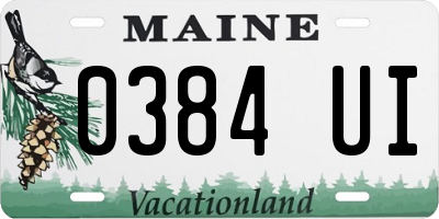 ME license plate 0384UI