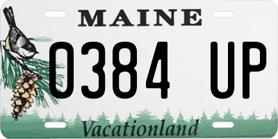 ME license plate 0384UP
