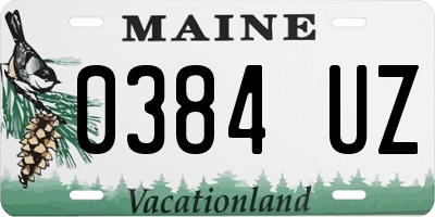 ME license plate 0384UZ