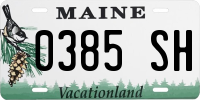 ME license plate 0385SH