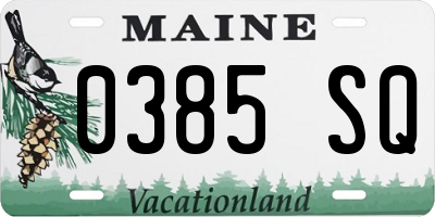 ME license plate 0385SQ