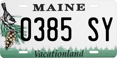 ME license plate 0385SY