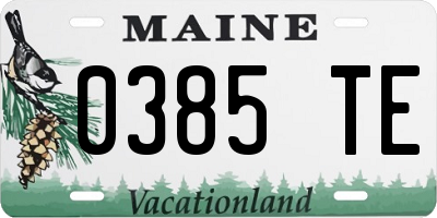 ME license plate 0385TE
