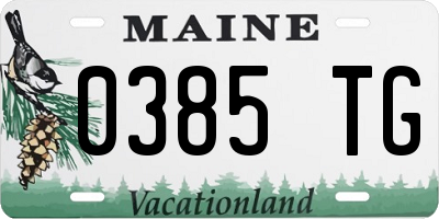 ME license plate 0385TG