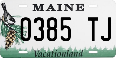 ME license plate 0385TJ