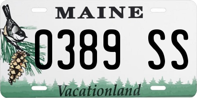 ME license plate 0389SS