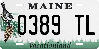 ME license plate 0389TL