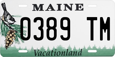 ME license plate 0389TM